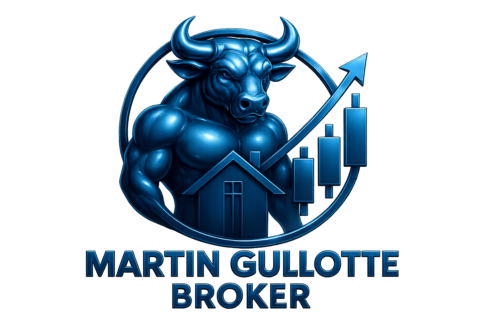 Lancer l'introduction et entrer sur le site